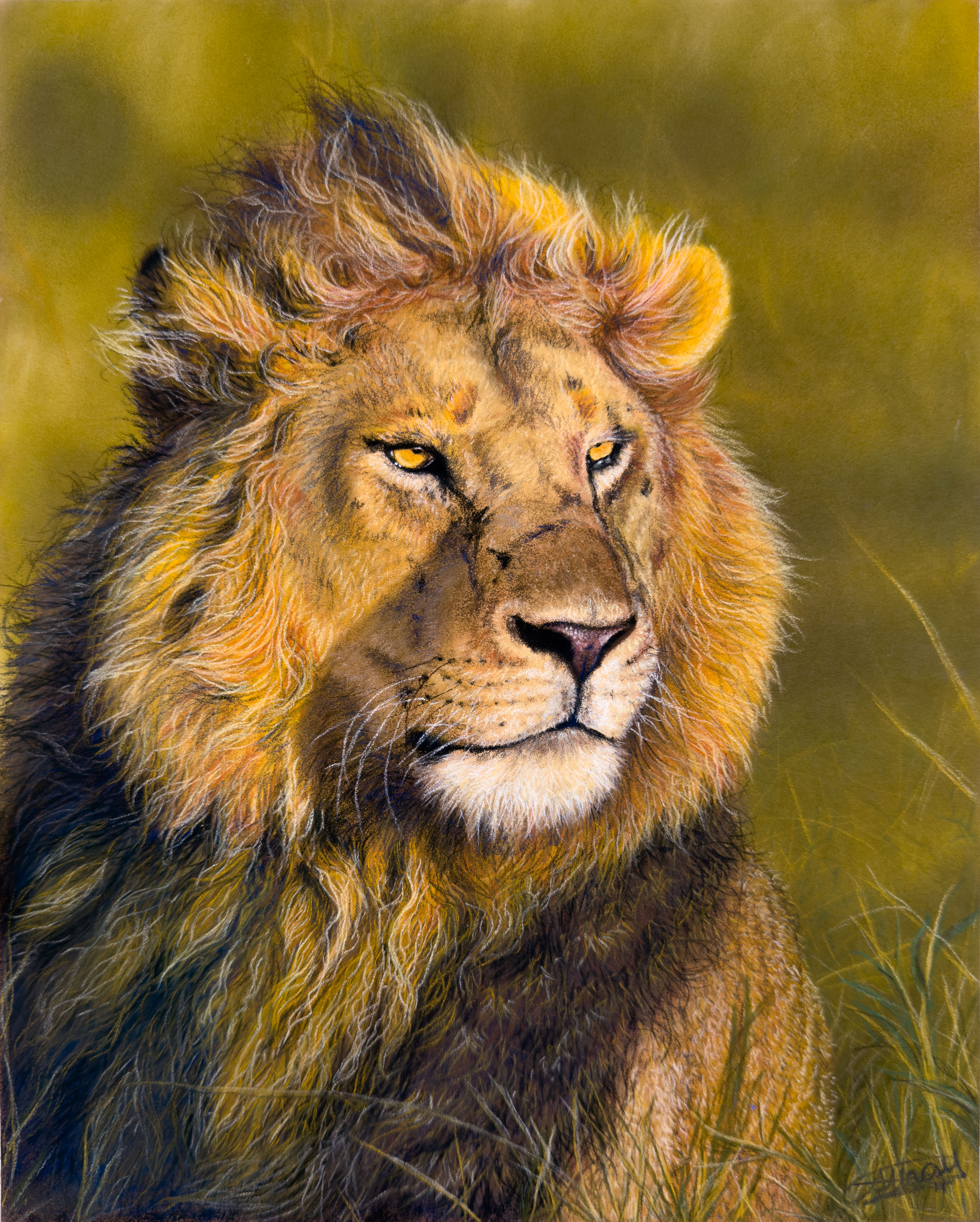 Savannah Majesty