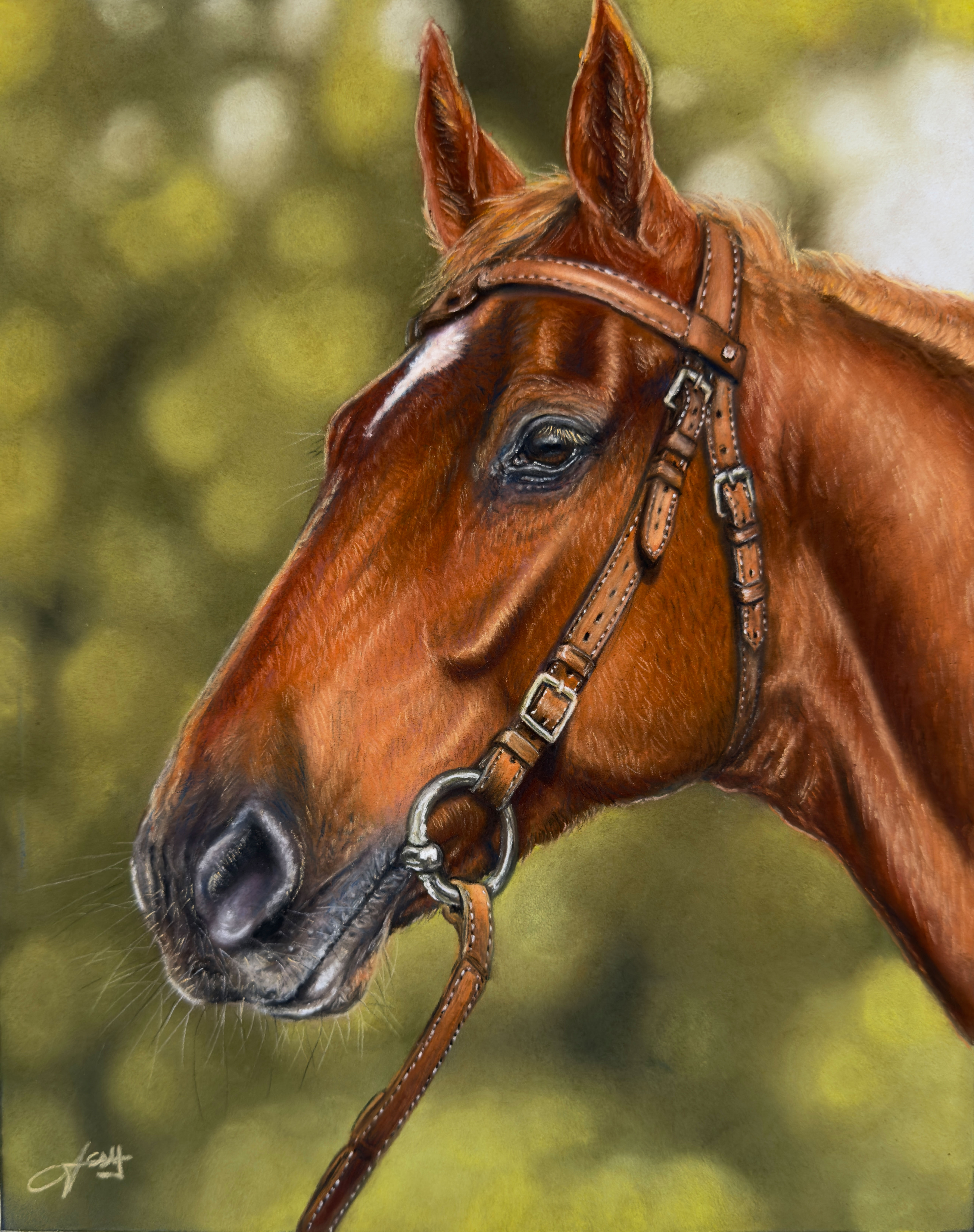 Famous Racehorses