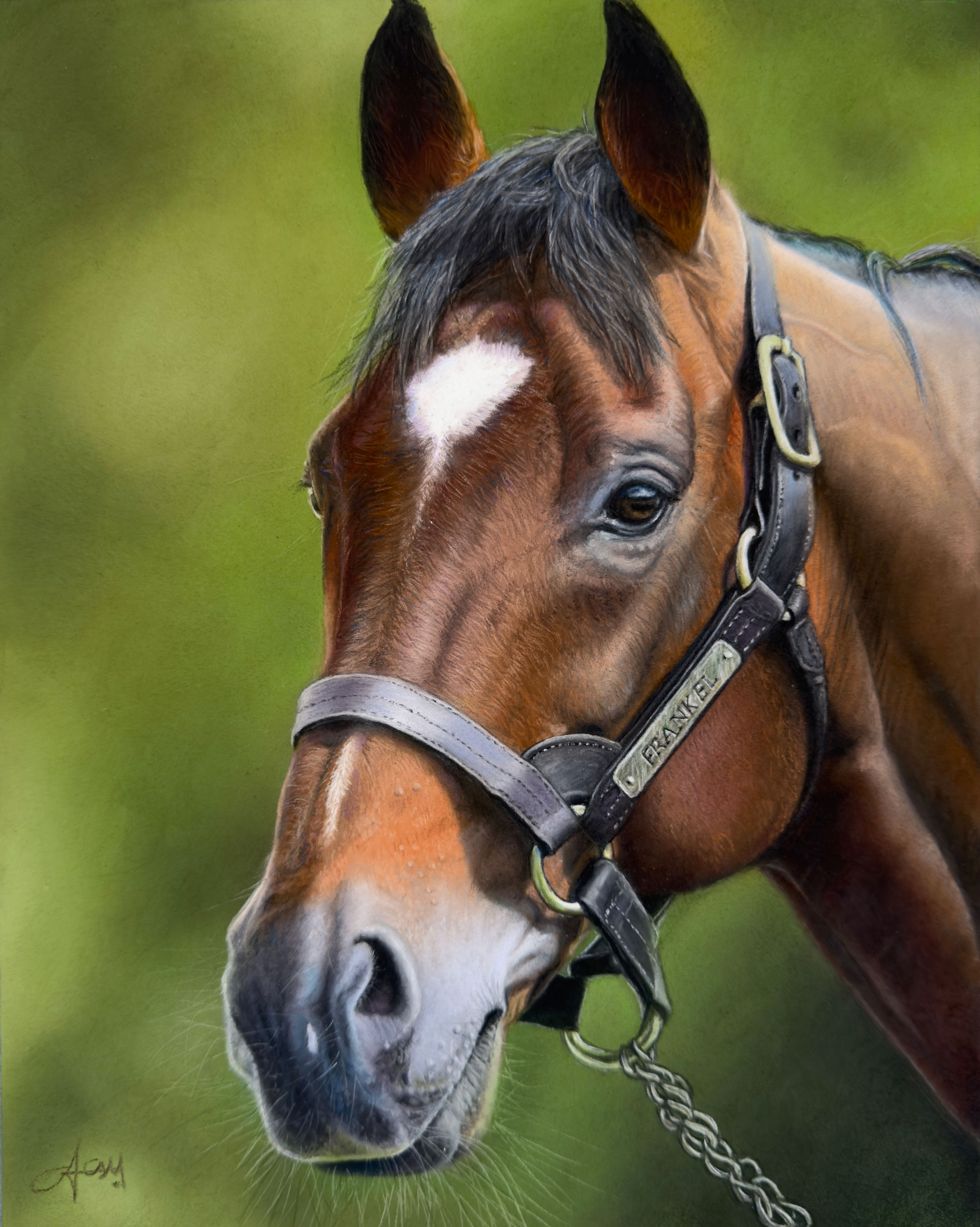 Frankel — The Unbeaten · Famous Racehorses Nº 2
