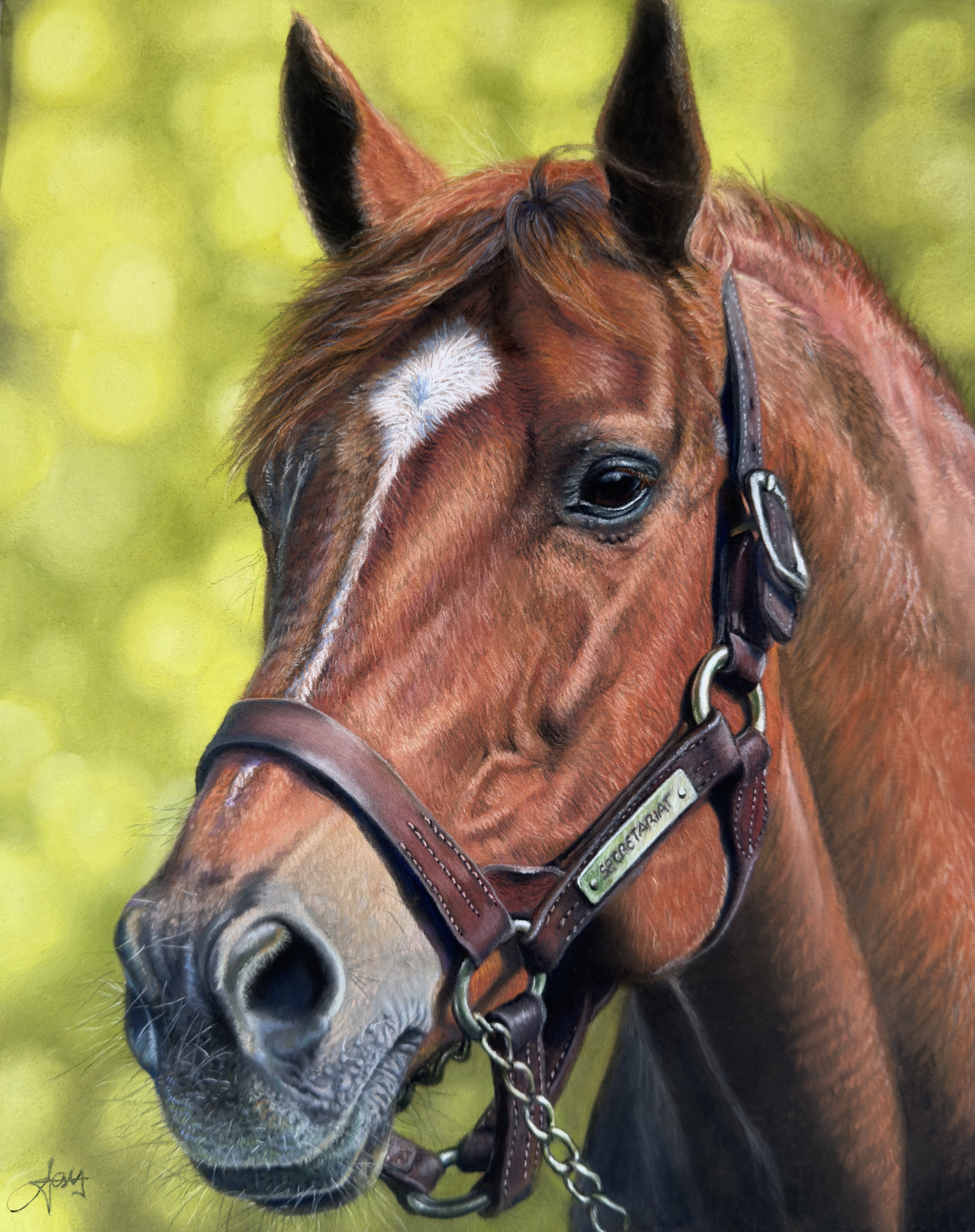 Secretariat — The Legend · Famous Racehorses Nº 1